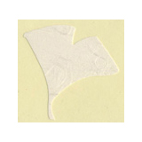 �դ����佤�����»�۶�ɡ������롡15��